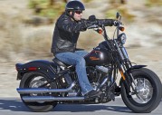 Harley-Davidson FLSTSB Softail Cross Bones